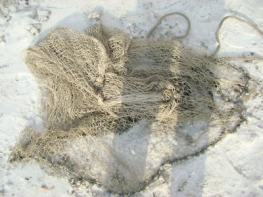 Cercetat penal pentru deţinere de plase monofilament